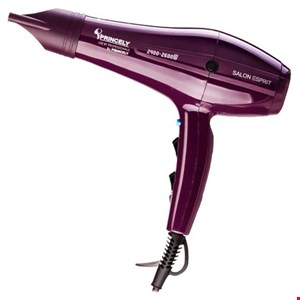 سشوار حرفه‌ای 2400 وات پرنسلی مدل PR250AT